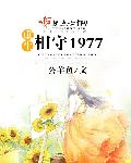 重生相守1977