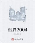 重启2004